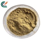 Epimedium Extract Factory - Icariin 5%-20%