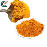 Turmeric Powder Supplier - Longa Root Extract