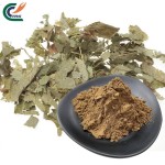 Epimedium Powder Factory - Grandiflorum 5:1-50:1