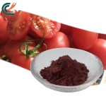Date Seed Powder Factory - High Quality Bulk