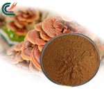 Icariin Extract Supplier - 50%-98% Epimedium