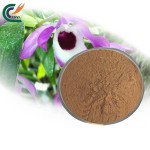 Eucommia Extract Manufacturer - 20:1 Cortex Powder