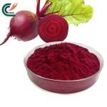 Lions Mane Powder Supplier - Organic Erinaceus