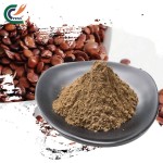 Panax Ginseng Manufacturer - 99% Extract Powder