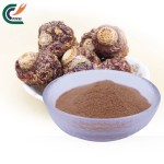 Grape Seed Extract Manufacturer - OPC 95% Antioxidant