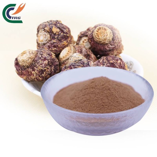 Grape Seed Extract Manufacturer - OPC 95% Antioxidant