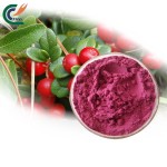 Mangosteen Powder Supplier - Peel Extract 10:1