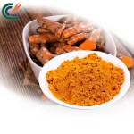 Turmeric Powder Manufacturer - Natural Organic Raw
