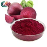 Lions Mane Powder Supplier - Organic Erinaceus