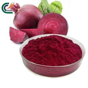 Lions Mane Powder Supplier - Organic Erinaceus