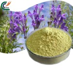 Jujube Powder Manufacturer - Red Date Fruit Juice