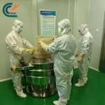 Grape Seed Extract Factory - 95% Proanthocyanidins