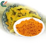 Curcumin Extract Manufacturer - Herbal Longa L.