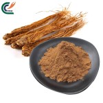 Eucommia Extract Supplier - Ulmoides Bark Cortex