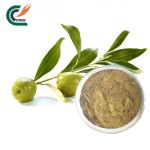 Glucomannan Powder Factory - Orchid Extract Food