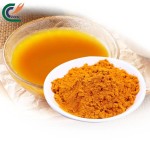 Curcumin Powder Manufacturer - Pure Turmeric Extract