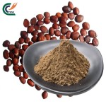 Panax Ginseng Manufacturer - 99% Extract Powder