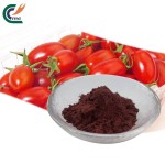 Date Seed Powder Factory - High Quality Bulk