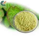 Red Ginseng Powder Supplier - Traditional Organic
