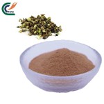 Tribulus Powder Manufacturer - Natural Extract