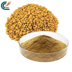 Lions Mane Extract Factory - Hericium Polysaccharide