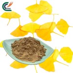 Ginkgo biloba P.E.