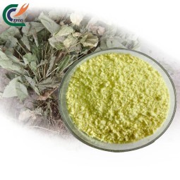 Eucommia Bark Extract Manufacturer - Premium Wellness