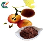 Coconut Powder Manufacturer - Desiccated for Baking