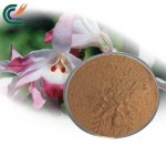 Eucommia Extract Manufacturer - 20:1 Cortex Powder