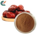 Eucommia Extract Factory - Folium Overall Health
