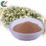 Berberine HCL Powder Factory - Cortex Phellodendri