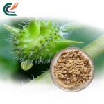 Tribulus Extract Supplier - Gokhru Powder Superior