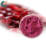 Mangosteen Powder Supplier - Peel Extract 10:1