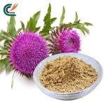Maca Powder Manufacturer - Competitive Price Bulk