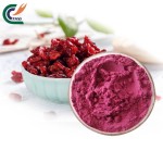 Mangosteen Powder Supplier - Peel Extract 10:1