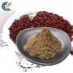 Panax Ginseng Manufacturer - 99% Extract Powder
