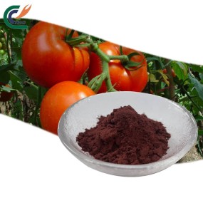Date Seed Powder Factory - High Quality Bulk