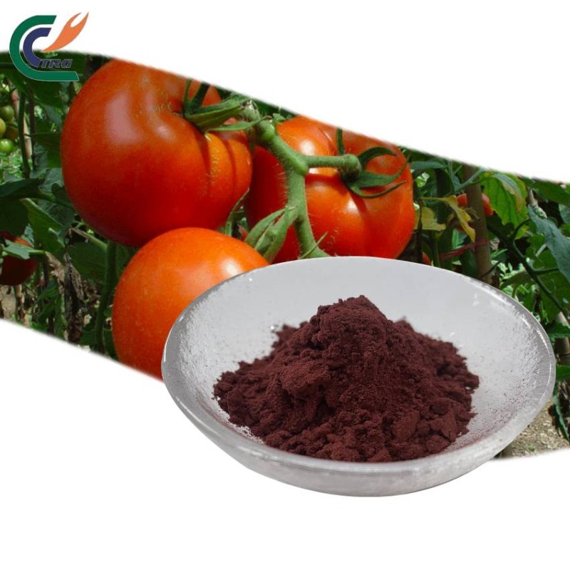 Date Seed Powder Factory - High Quality Bulk
