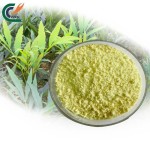 Beetroot Powder Manufacturer - Red Root Extract