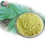 Beetroot Powder Manufacturer - Red Root Extract