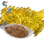 Ginkgo Biloba Extract Factory - Leaf Antioxidant