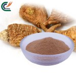 Horny Goat Weed Supplier - Icariin 20%-90%