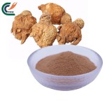 Grape Seed Extract Manufacturer - OPC 95% Antioxidant