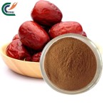 Eucommia Extract Factory - Folium Overall Health