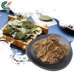 Epimedium Powder Factory - Grandiflorum 5:1-50:1