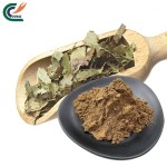 Epimedium Powder Factory - Grandiflorum 5:1-50:1