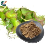 Fenugreek Extract Factory - Seed 10:1 Enlarge