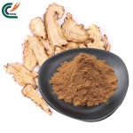 Eucommia Extract Supplier - Ulmoides Bark Cortex