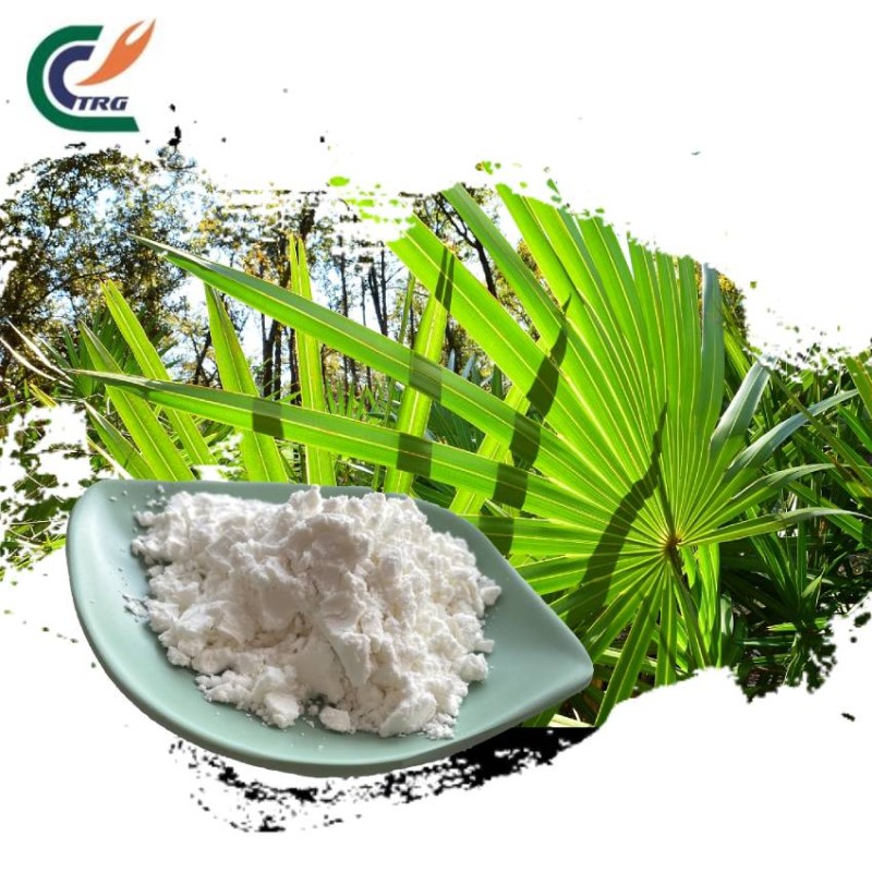 Saw Palmetto Powder Manufacturer - Bulk Wholesale