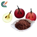 Coconut Powder Manufacturer - Desiccated for Baking